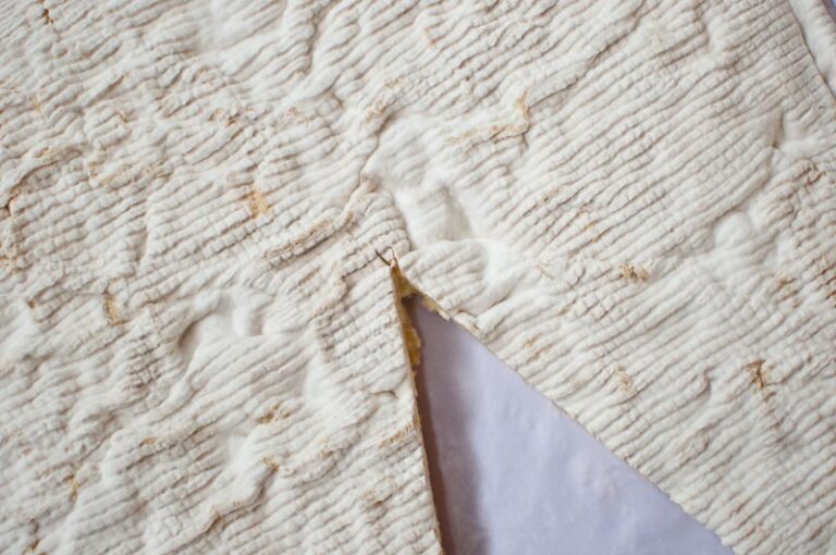 Brie cheese