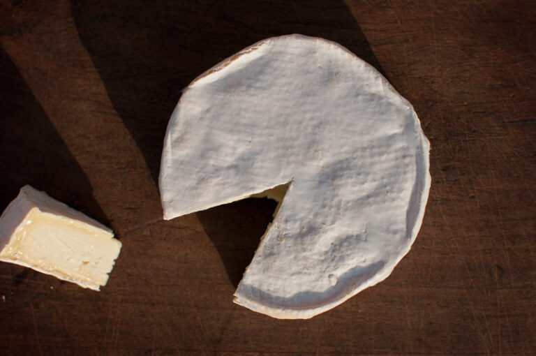 camembert cheese